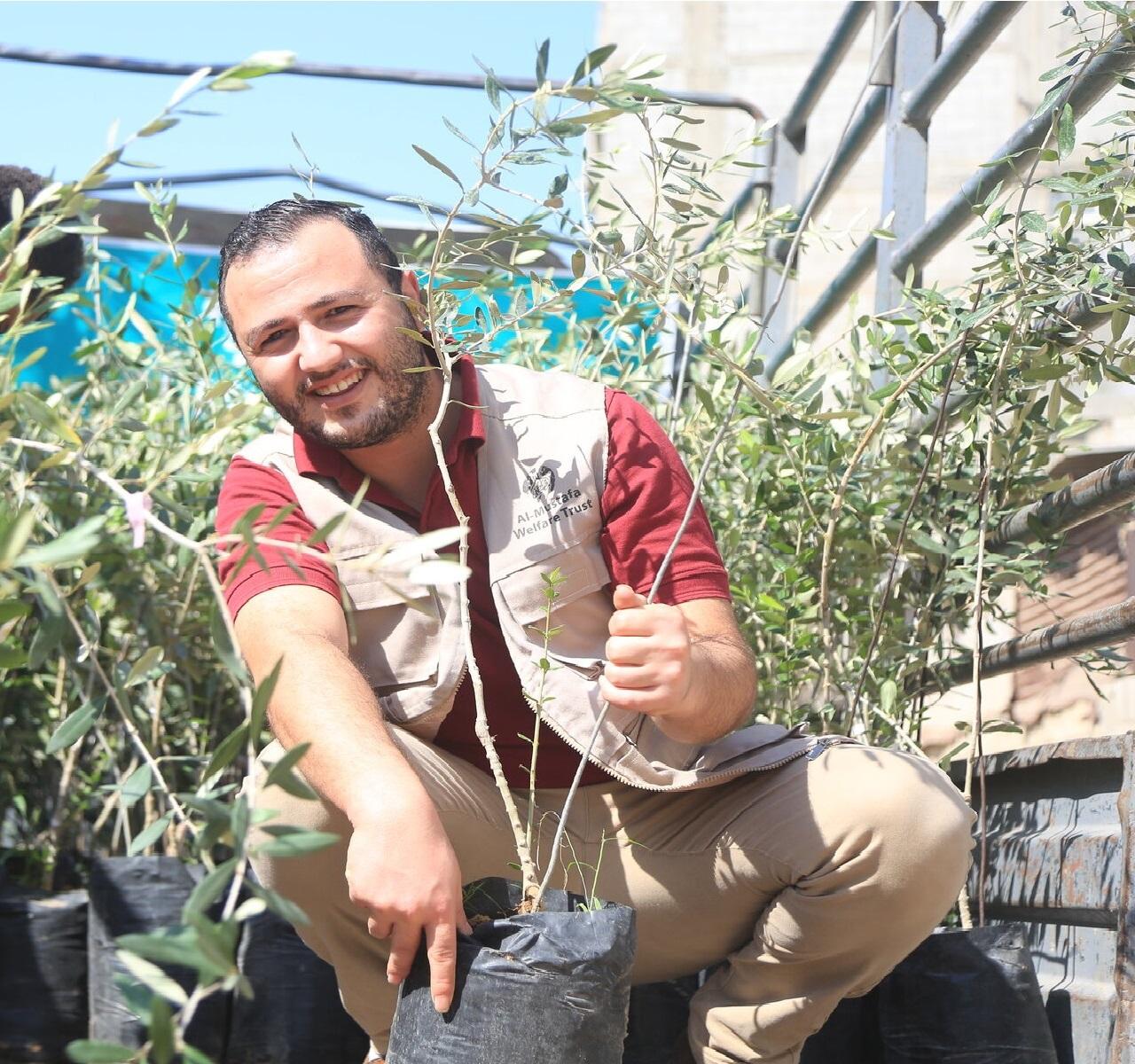 Adopt an Olive Tree in Palestine