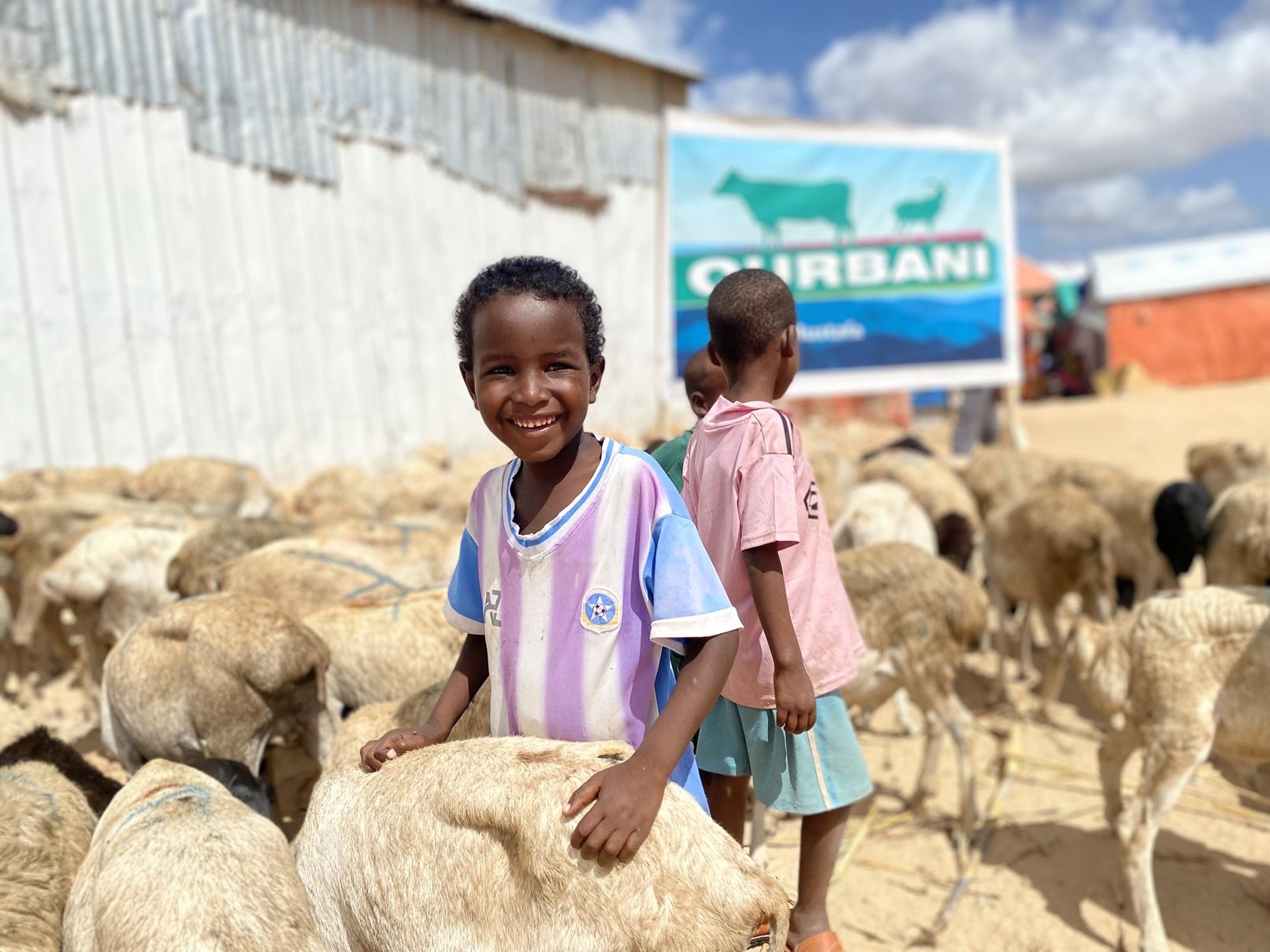 Qurbani Animal with Kids Qurbani Animal with Kids